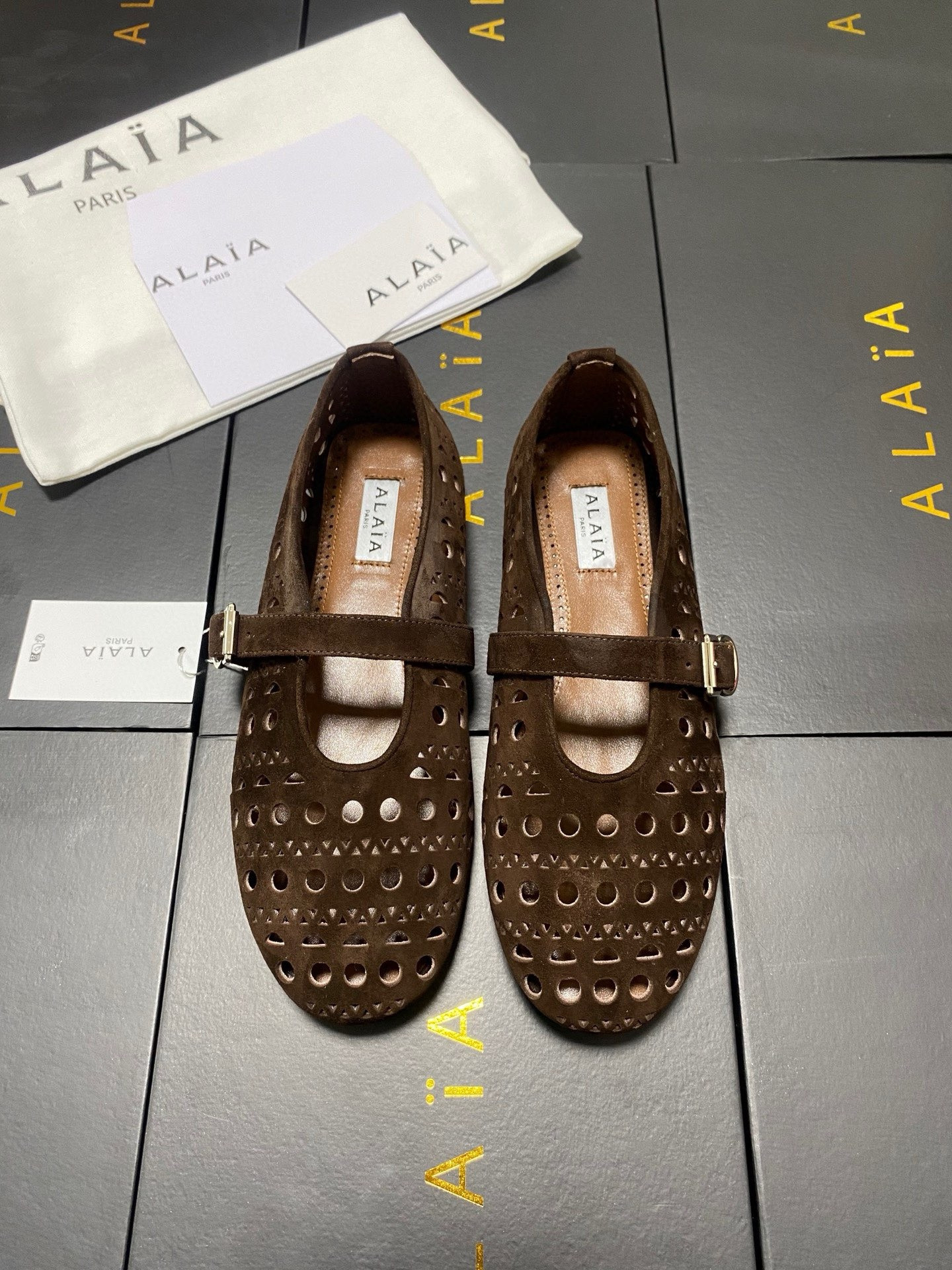 UA A1a1a Vienne BALLET FLATS