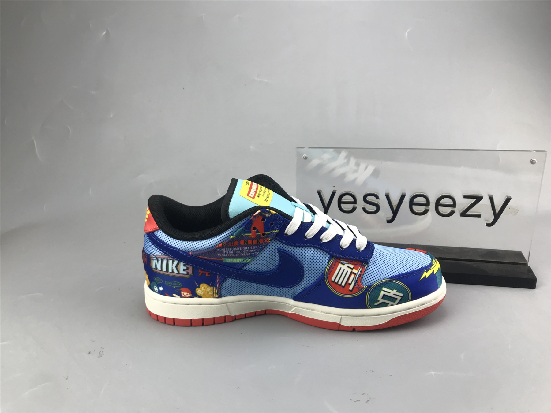 UA NIKE DUNK LOW 
