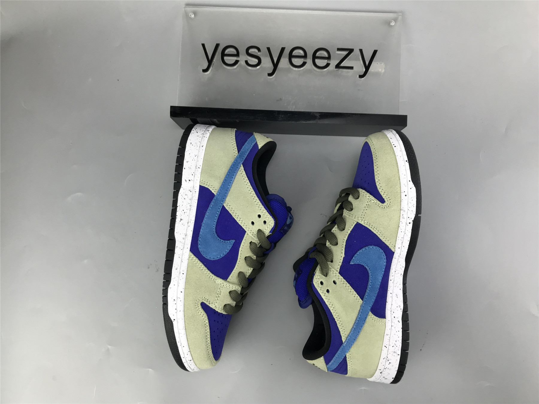 UA NIKE DUNK LOW SB 
