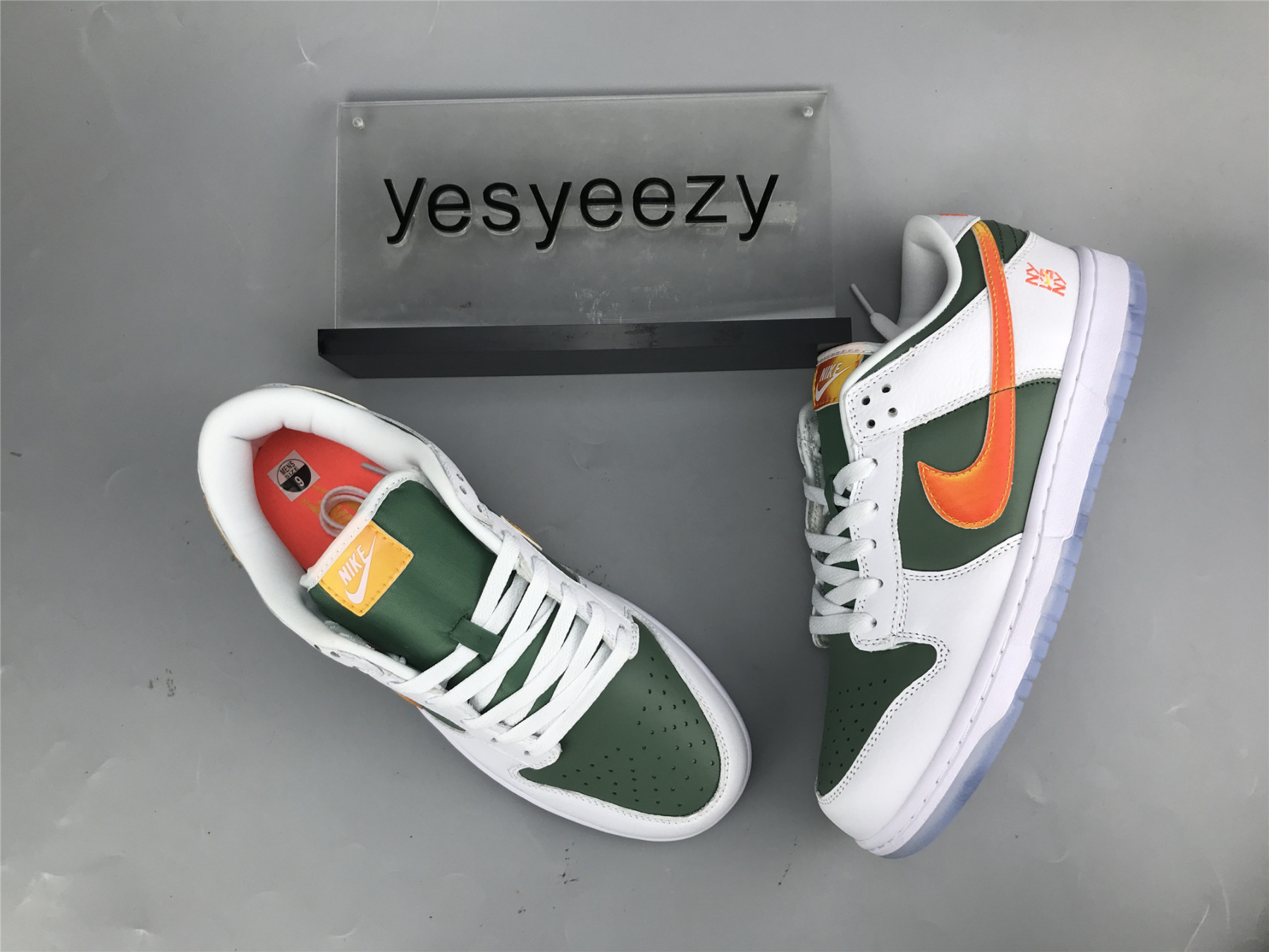UA NIKE DUNK LOW 