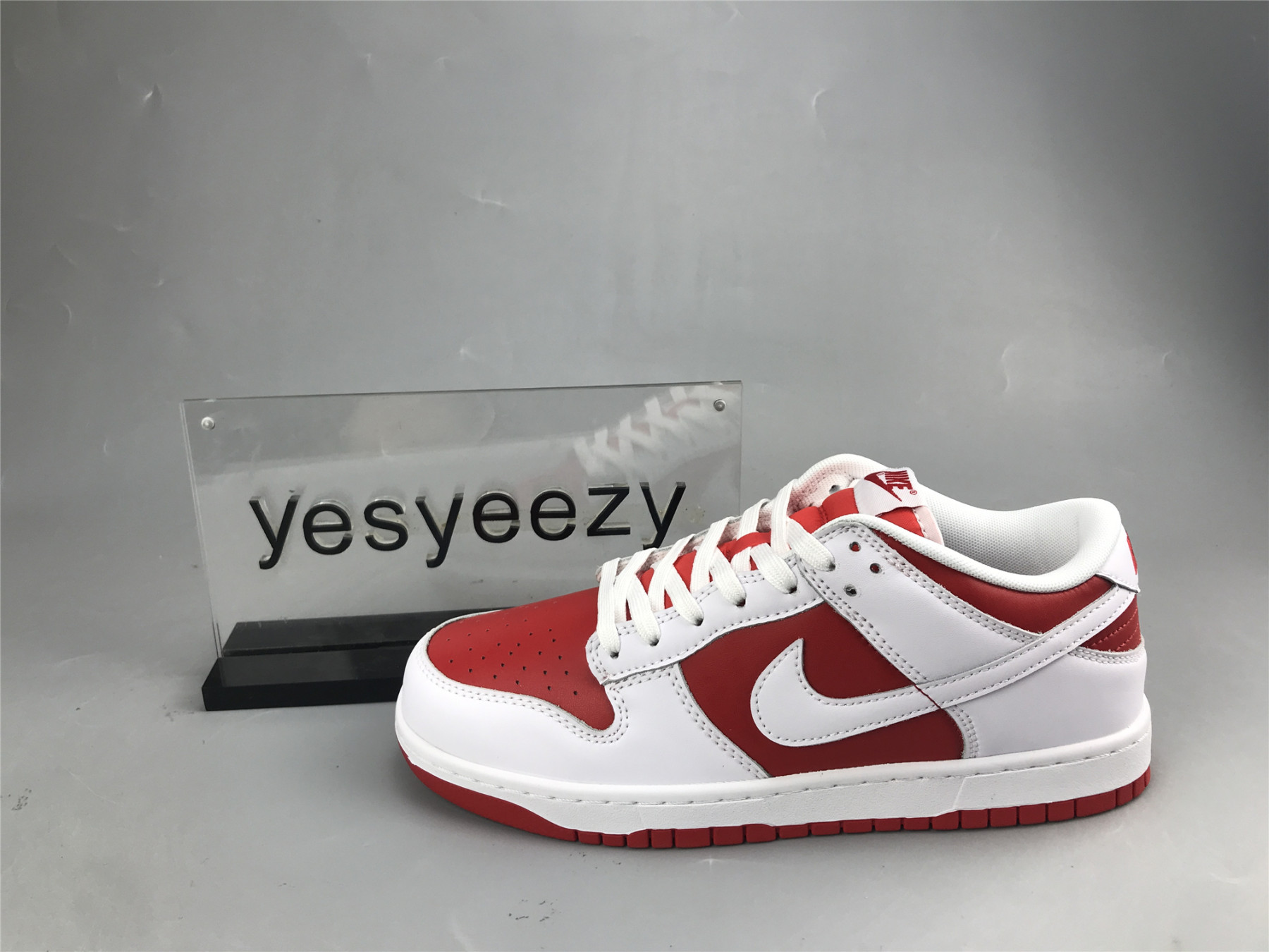 UA NIKE DUNK LOW 