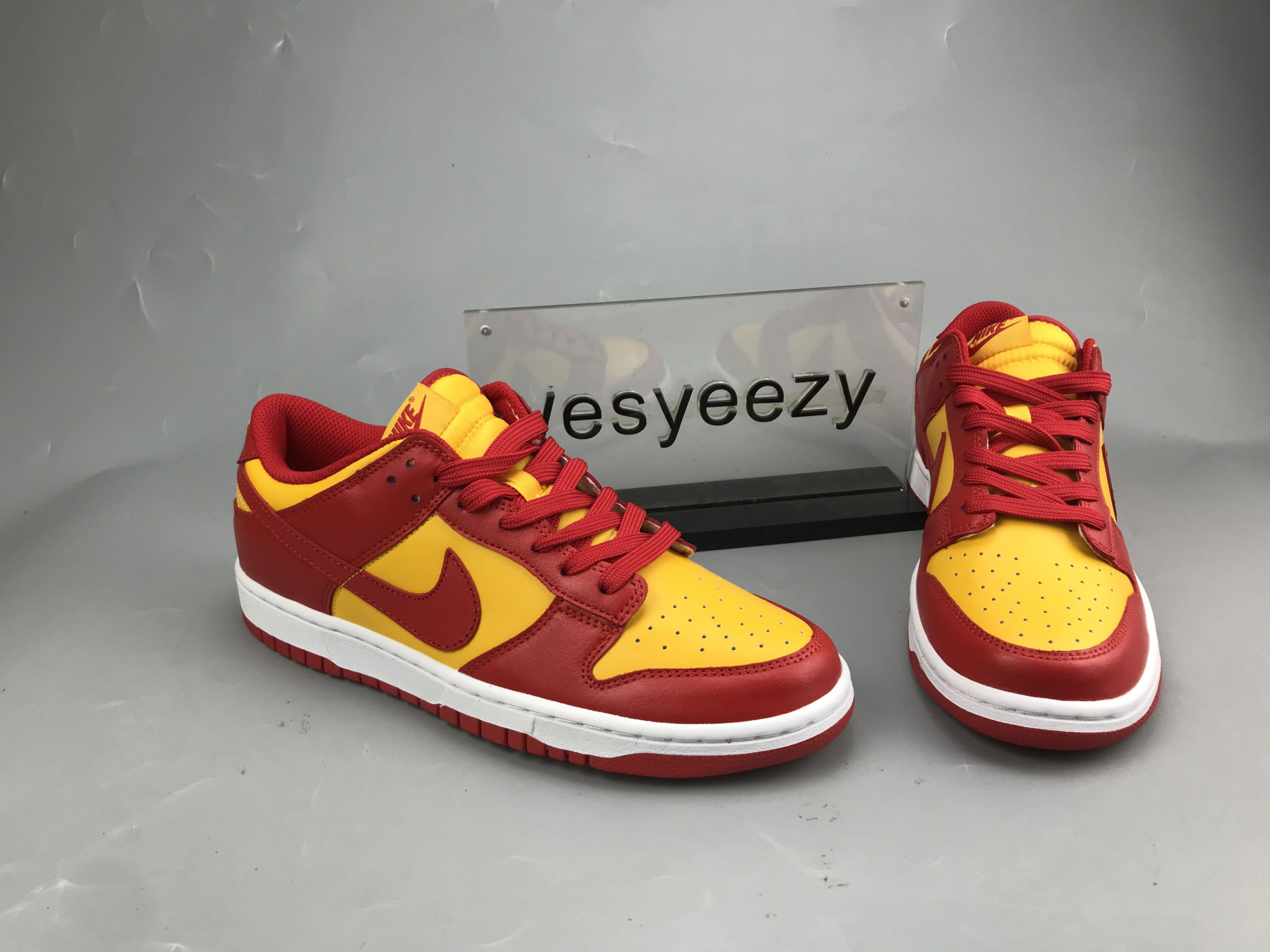 UA NIKE DUNK LOW 