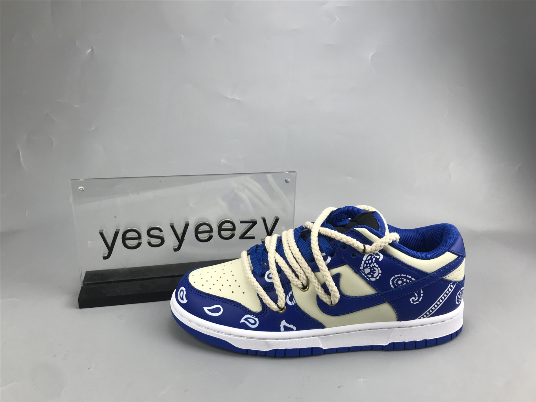 UA NIKE DUNK LOW 