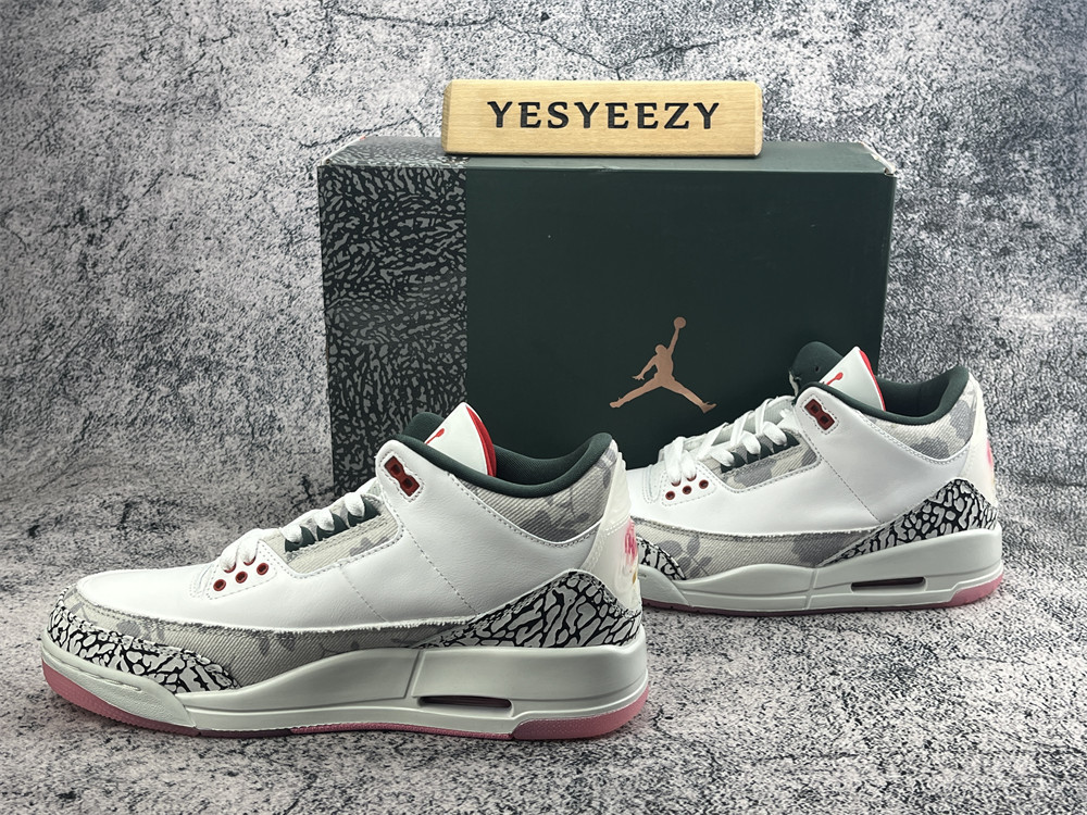UA Jordan 3 Retro Wings