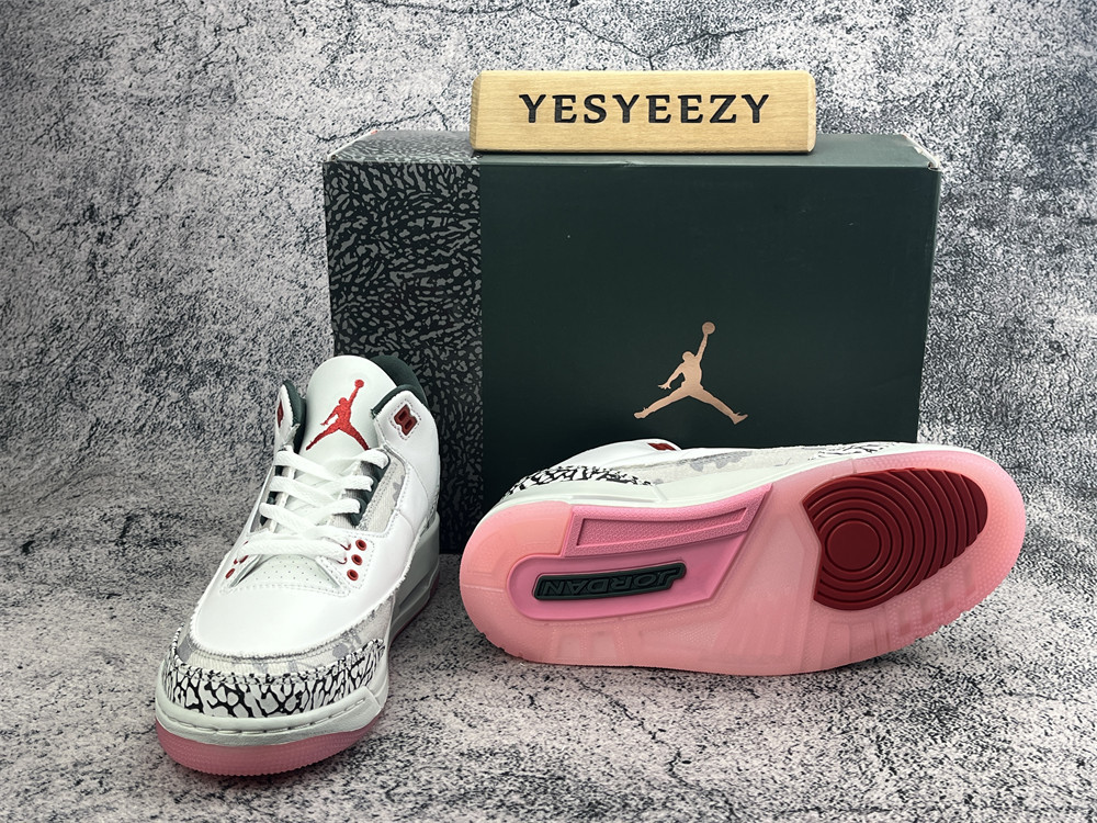 UA Jordan 3 Retro Wings