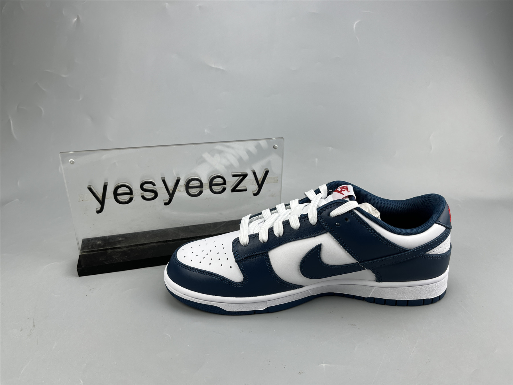 UA NIKE DUNK LOW 