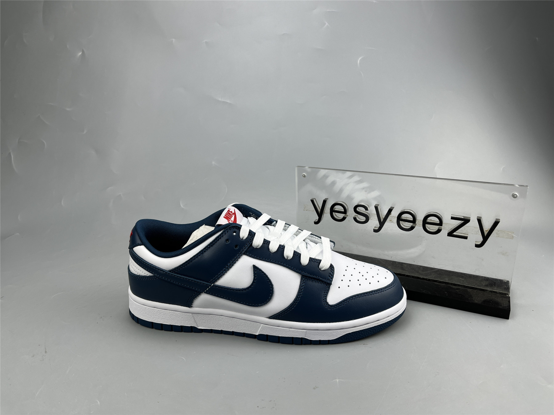 UA NIKE DUNK LOW 