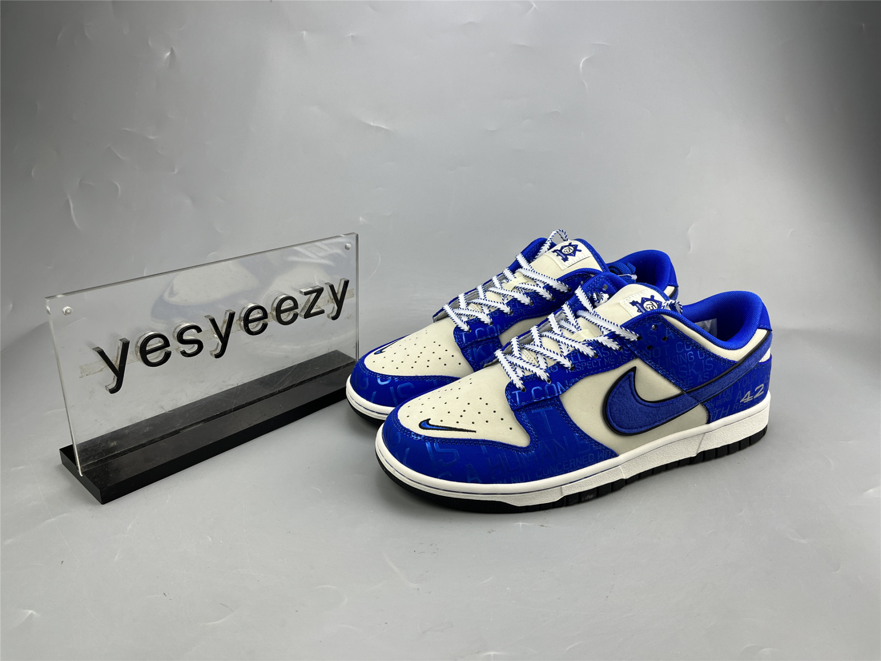 UA NIKE DUNK LOW GS 