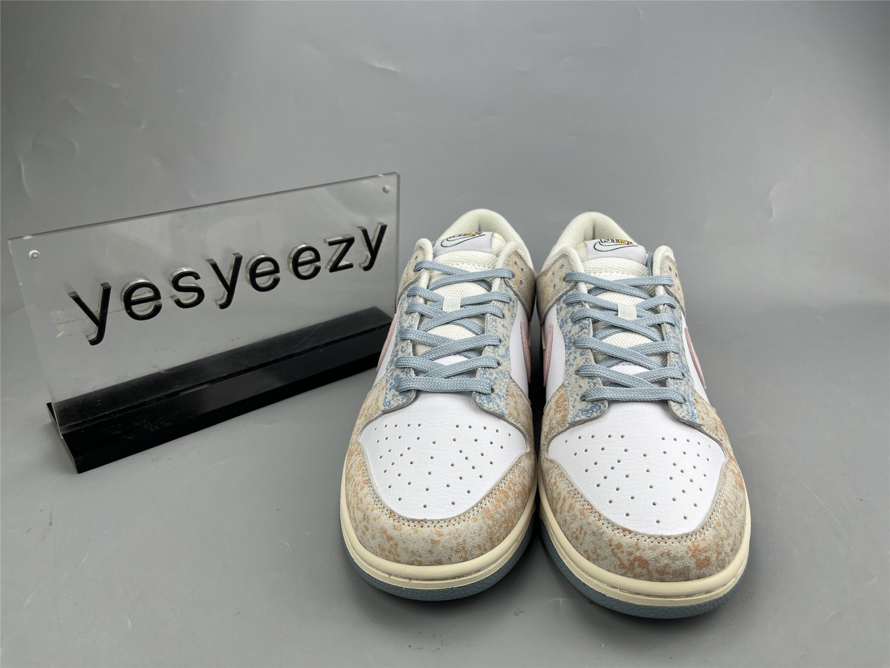 UA NIKE DUNK LOW 
