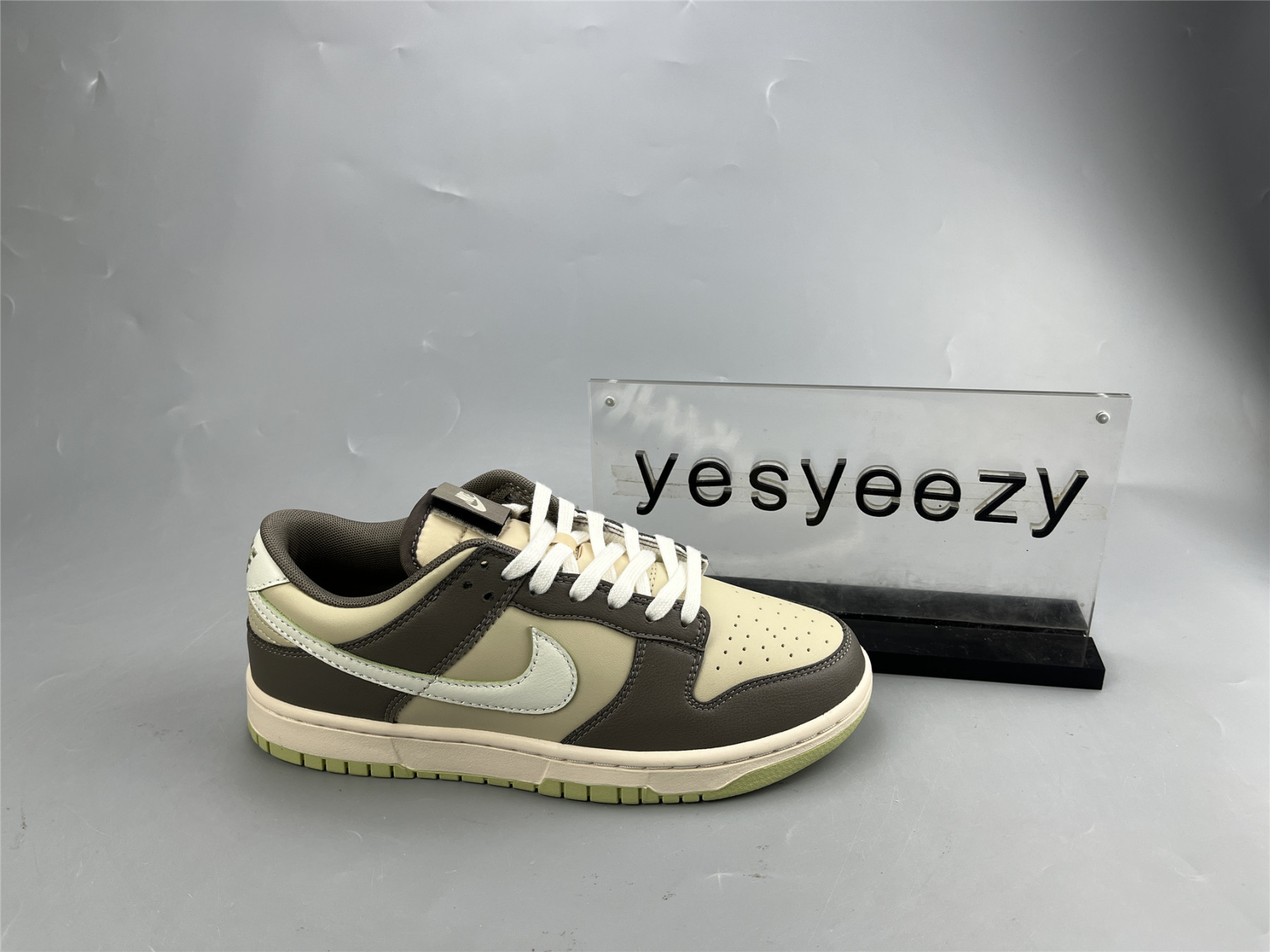 UA NIKE DUNK LOW 