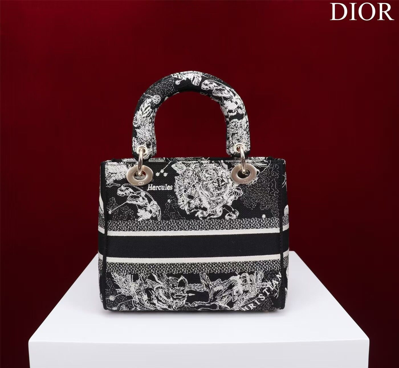 MEDIUM D10r LADY D-LITE BAG  24 x 20 x 11 cm