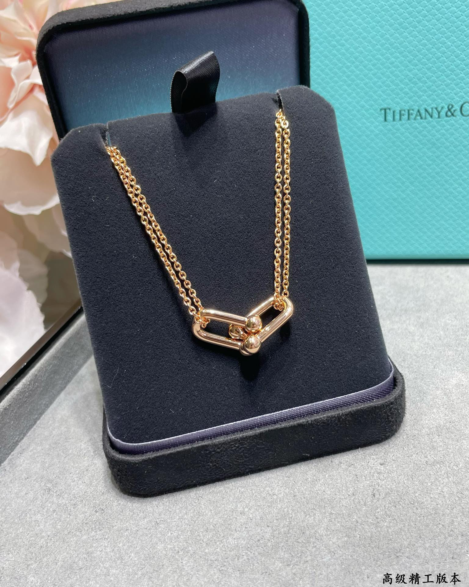 T*f*ny & co. double hoop polished stirrup necklace