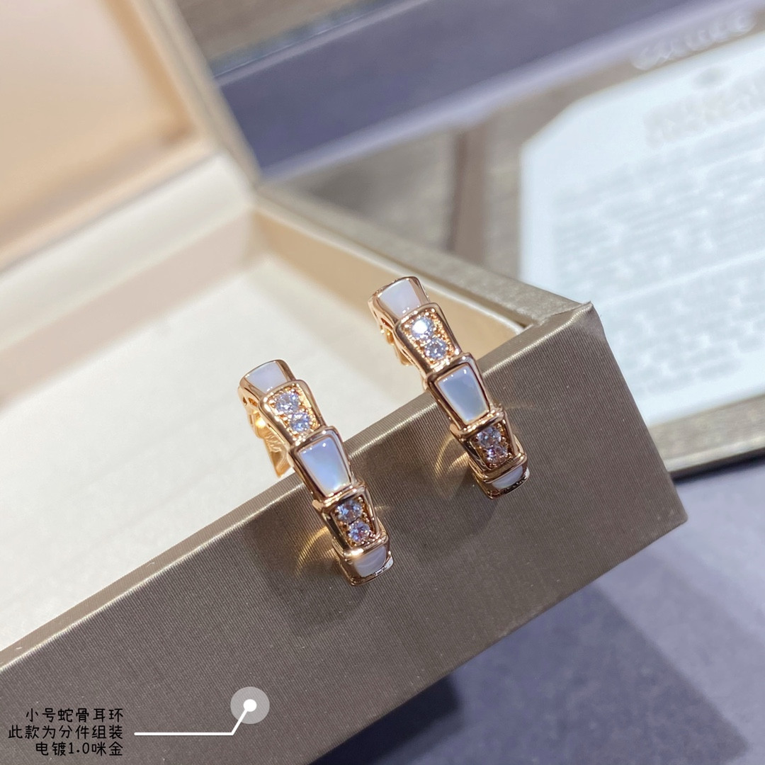 Bv1g*ai small Snake bone Earrings