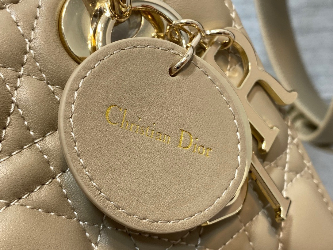 Medium Lady D10r Bag 24 x 20 x 12 cm