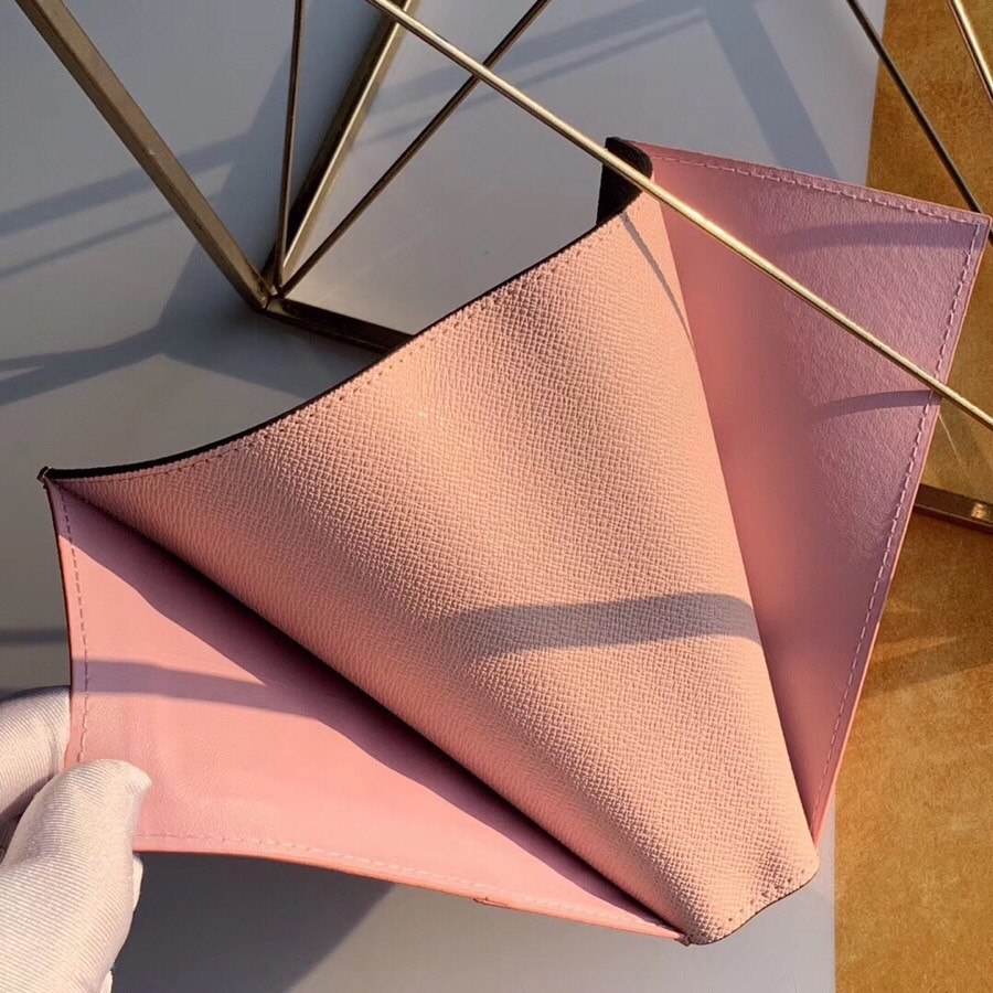 LV Passport cover