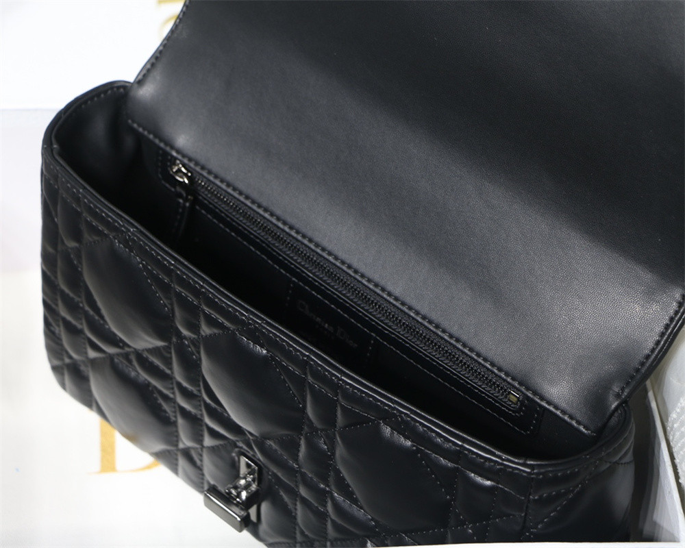 MEDIUM D10r CARO BAG S*pple Cannage Calfskin 25.5 x 15.5 x 8 cm