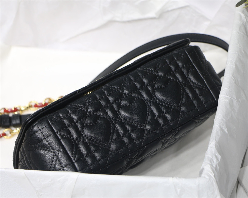 SMALL D10r CARO BAG amour black 20 x 12 x 7 cm