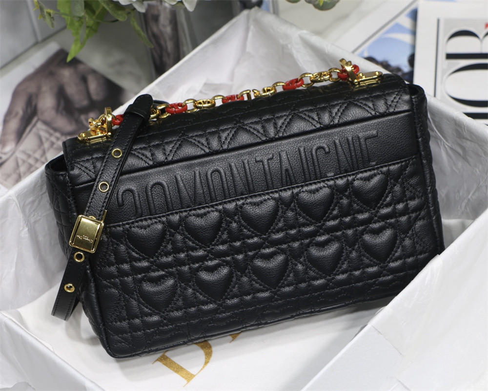 MEDIUM D10r CARO BAG amour black 25.5 x 15.5 x 8 cm