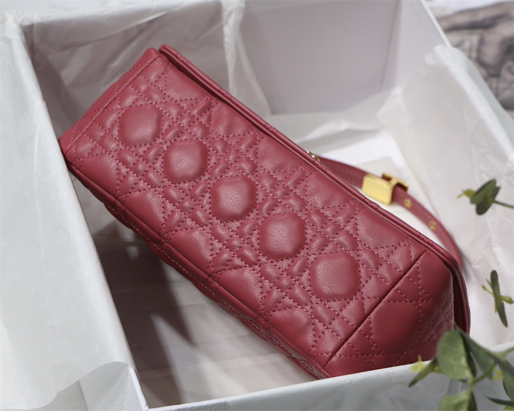 MEDIUM D10r CARO BAG S*pple Cannage Calfskin 25.5 x 15.5 x 8 cm