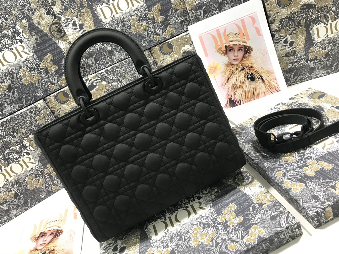D10r Lady Bag 32 x 25 x 11cm