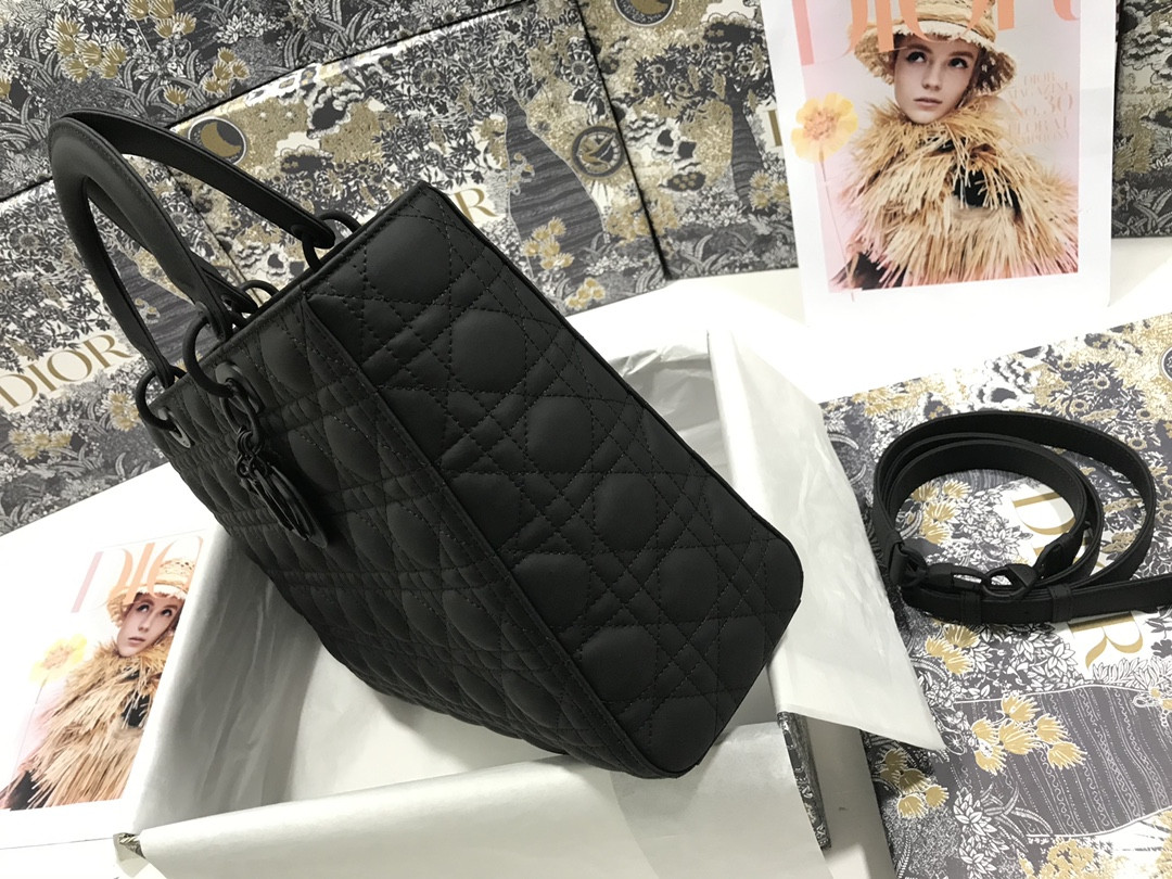 D10r Lady Bag 32 x 25 x 11cm